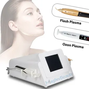 Hot Sales 2 In 1 Plasma Ozone Pen Fibroblast Plamere Skin Lifting Freckle Removal Plasma Pen Machine For Acne Treatment