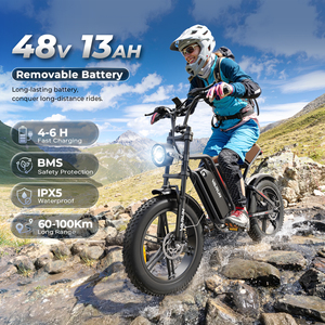 ¡Stock en Almacén de la UE! Bicicleta Eléctrica Todoterreno con Llantas Gruesas de 20 Pulgadas, 250 W, Alcance de 60 km, Suspensión Completa, Entrega en la UE de 3 a 7 Días - Product Image 4