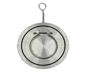 Válvula de Retención Manual de Acero Inoxidable DN50 de Alto Rendimiento, Diseño Compacto para Tuberías Industriales de Agua - Product Image 1