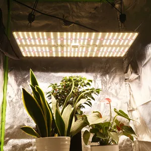 Sinowell 240W Samsung 301b Chips 3500K 3 Jaar Garantie Groeiend Led Licht Voor Plantengroei