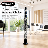 OEM Customizable Popular High Quality 17 Key Eb Clarinet Woodwind Musical Instrument Clarinet with Accessories