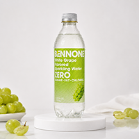 Premium fruit-geïnfuseerd bruiswater zonder suiker en vet, gezonde drank, OEM ODM blikjes bruisdranken