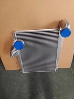 Intercooler para MERCEDES BENZ para VOLVO / SCANIA / MAN / RENAULT / DAF / IVECO, Piezas de Camión