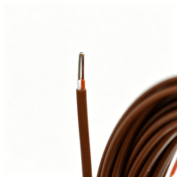 Capteur de température à thermocouple de type J à jonction exposée, classe I, haute précision, avec fil PFA, pour moteur et réfrigérateur