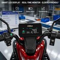 Tricycle électrique pour adultes, scooter à 3 roues, batterie au plomb-acide 60V 20Ah, écran LCD, pneus à vide 300-8, mobilité pour personnes âgées