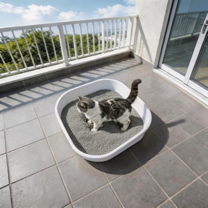 DongnaiPETS Arena para Gatos Ecológica a Base de Almidón Vegetal, Desechable por el Inodoro, Aglutinación Rápida, Control de Olores, 99% Libre de Polvo, Absorbente, de Mazorca de Maíz, Lavanda - Product Image 1