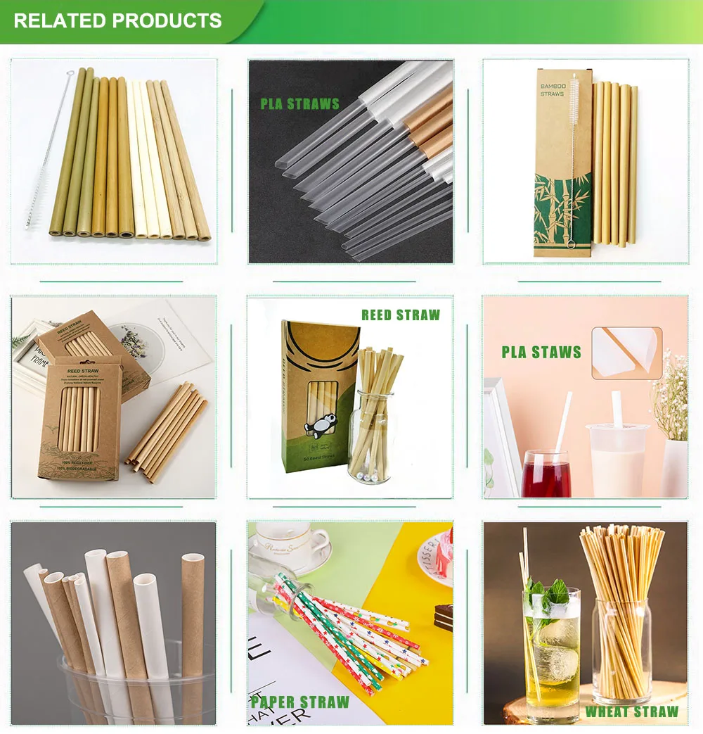 Bamboo Disposable Biodegradable Reed Straw Straws For Hot Drinks