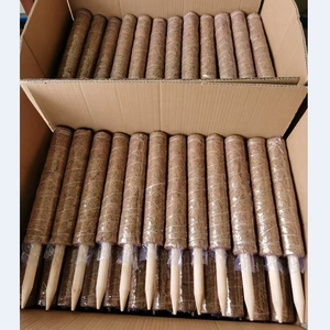 Grands bâtons de <span class=keywords><strong>plantes</strong></span> de grande taille et piquets de support en fibre de coco <span class=keywords><strong>pour</strong></span> <span class=keywords><strong>plantes</strong></span> <span class=keywords><strong>grimpantes</strong></span> en pot en fibre de coco <span class=keywords><strong>pour</strong></span> les jardins - Product Image 4