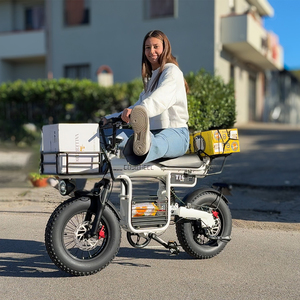 Vélo électrique COSWHEEL 1000W 48V 15AH haute vitesse, frein à disque en alliage 16 pouces, 7 vitesses, mini vélo de ville, vélo électrique - Product Image 5