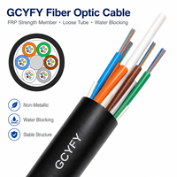 Câble à microfibres optiques soufflé à l'air GCYFY 48 fibres SM G652D avec élément de renforcement FRP non métallique et gaine en PEHD