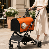 Poussette pour animaux de compagnie haut de gamme en alliage d'acier au carbone, avec panier amovible, coque en cuir PU, frein arrière, OEM, marque privée