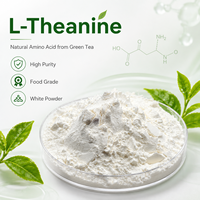 Poudre de L-Théanine, Extrait Naturel de Thé Vert, L-Théanine Qualité Alimentaire, Matière Première en Vrac pour Compléments Alimentaires