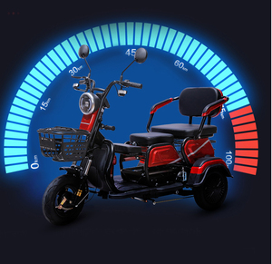 Triciclo Eléctrico para Adultos con Batería de Plomo-Ácido de 48V 12AH 20AH 32AH 500W y Freno de Tambor Delantero, Venta al Por Mayor Directo de Fábrica - Product Image 5