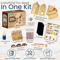 Cages à oiseaux en bois de qualité supérieure kits d'artisanat de maison d'oiseau en bois de bricolage drôle pour adultes