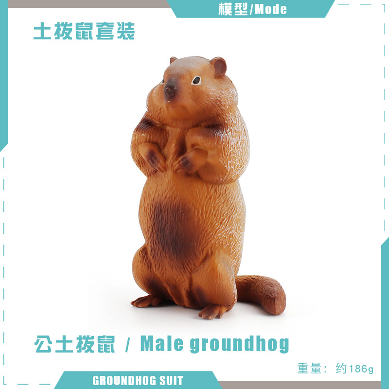 T15722 macho marmota 186G