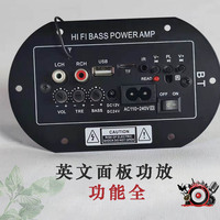HiFi POWER AMP Mini amplificateur 12V 24V 220V Compatible système Audio de voiture Subwoofer de 5 pouces à 10 pouces