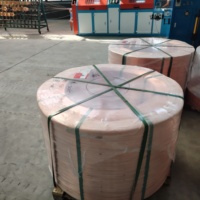 Câble d'alimentation en cuivre à âme unique solide BV, isolé en PVC, pour câblage électrique souterrain