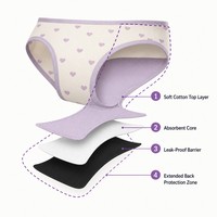 십대 소녀들을 위한 하트 프린트 면 소재 새지 않는 흡수성 생리 팬티 도매