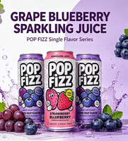 OEM Private Label Aangepaste Premix Geblikte Konjac Jelly Drank Fruit Sap Vodka Alcoholische Sprankelende Sirop Cocktail Drank