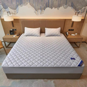 ผ้าคลุมป้องกันฝุ่นสำหรับที่นอน & อุปกรณ์ป้องกัน - Product Image 5