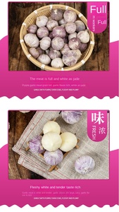 <span class=keywords><strong>Ail</strong></span> à tête unique séché 2025 Nouvelle <span class=keywords><strong>saumure</strong></span> de peau violette en forme de bloc préservée 500g - Product Image 6