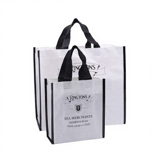 Bolsas <span class=keywords><strong>TDG</strong></span> con Logotipo Impreso Personalizado, <span class=keywords><strong>Bolsa</strong></span> de Compras Reutilizable Ecológica de Tela PP, Tamaño Mediano, Diseño de Dibujos Animados - Product Image 4