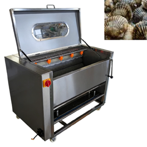 Automatic <b>Vegetable</b> Processing Machine <b>Brush</b> Roller Peeler Washer for Carrot Potato Ginger - Product Image 4