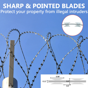 Bangjun Bto 22 Low Price Concertina <strong>Wire</strong> Hot Dipped Galvanized <strong>razor</strong> Barbed <strong>Wire</strong> Price For Sale Anti Climb <strong>razor</strong> <strong>Wire</strong> - Product Image 5