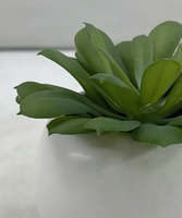 Succulentes Artificielles en Gros, Effet Naturel, Résistantes aux UV, Écologiques, Décoration Intérieure, Haute Simulation, Vente en Gros