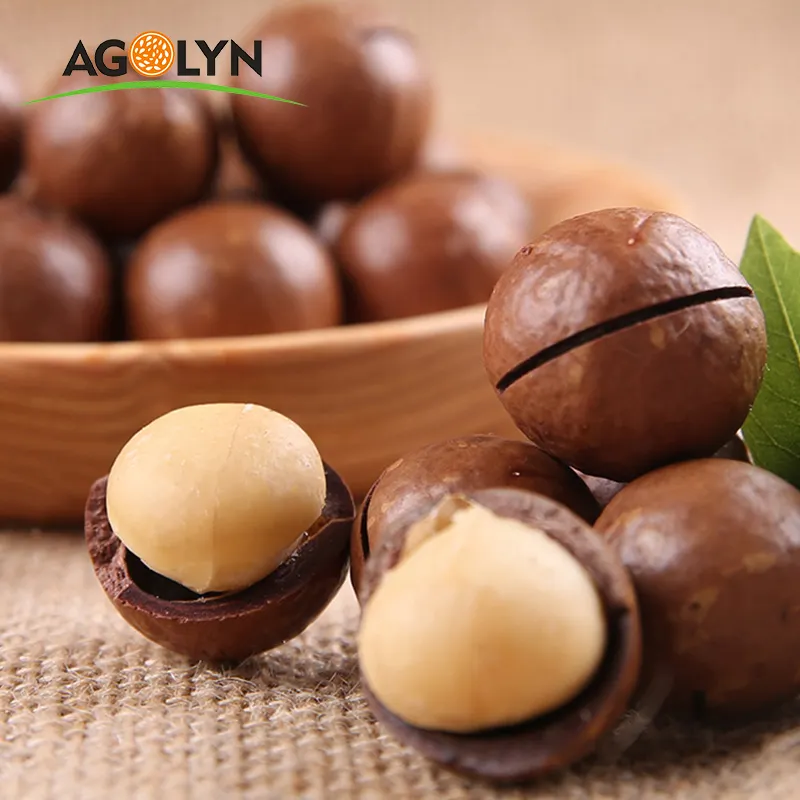 Cây trồng mới rang hạt Macadamia để bán