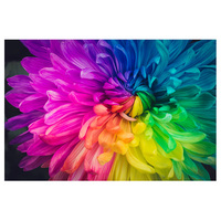 Ever Moment Diamond Painting Kleurrijke bloemen 5D DIY foto mozaïek volledige vierkante boor S2F955