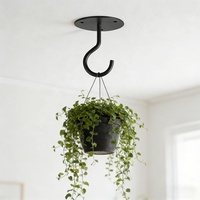 Crochets de plafond en fer pour suspendre des plantes et des mangeoires à oiseaux, crochets muraux modernes et écologiques pour la décoration intérieure/extérieure
