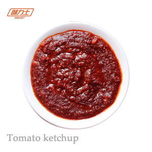 Ketchup de tomate naturel le plus vendu pour tremper les saucisses, les frites au barbecue, les hamburgers, sauce avec emballage en sachet ou en boîte - Product Image 5