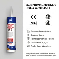 SR-38 Vente directe usine Mastic silicone neutre transparent Résistant aux intempéries Imperméable Colle pour vitres transparentes
