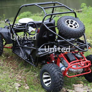 <span class=keywords><strong>Precio</strong></span> al por mayor Buggy off Road Go Kart Desert Buggy Venta - Product Image 5
