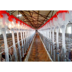 Sistema de Alimentación Automático, Dispensador de Alimento para Ganadería Porcina, Comedero para Animales - Product Image 4