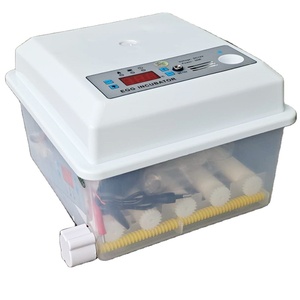 Máy Ấp Trứng <span class=keywords><strong>Mini</strong></span> Máy Ấp Trứng Gà Điều Khiển Thông Minh Tự Động 6/9/12/16/24/30/36/48/56/96/120/196/276 - Product Image 3