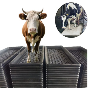 Equipo de granja lechera/baño de plástico para pezuña de ganado/baño de vaca para baño de pie de vaca lechera disponible para la venta - Product Image 1