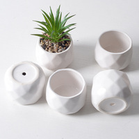 Pots de fleurs en céramique - Porcelaine blanche émaillée, jolies plantes succulentes créatives et simples, imitation de plantes, décoration, mini ornements
