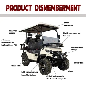 Voiturette de golf classique personnalisée HKBG 1-2 places 48V 5000W, vitesse 30-50 km/h, phares LED, certifiée GCC/DOT/CE/EEC - Product Image 3