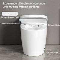 Intelligent Automatique Intelligent Salle de Bain Toilette Bidet Nouveau Design Montage au Sol Inodoro Bol Allongé WC Sanitaire Télécommande