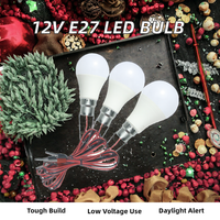 Ampoule LED E27 avec cordon de 1.48m 12-85V DC corps en plastique basse tension 12V dédié à la batterie