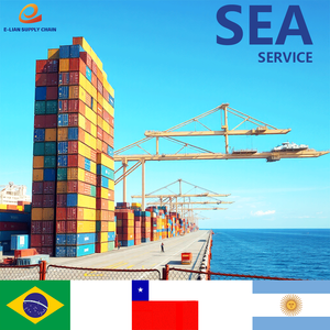 Il prezzo più basso per il trasporto via mare dalla Cina al Brasile, Cile e Argentina, con servizio dddp (consegnato a pagamento) - Product Image 5