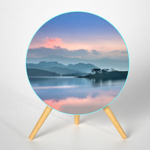 Smart Home Theater Hifi Altavoz Bluetooth Altavoces de pie para decoración del hogar - Product Image 6