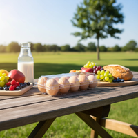 Plateaux à œufs en plastique PET personnalisés en usine, boîtes à œufs alvéolées de 10, 12, 15, 18, 20, 24, 30 alvéoles, emballages alimentaires en blister pour 30 œufs