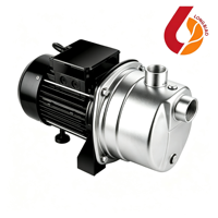 Pompe à jet solaire DC en acier inoxydable 304, auto-amorçante, pour eau de surface, avec turbine en laiton, pour l'irrigation domestique et l'alimentation en eau