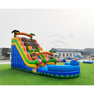 Toboggan aquatique gonflable de 30 pieds avec château gonflable combiné, toboggan tropical, toboggan aquatique irisé avec piscine - Product Image 2