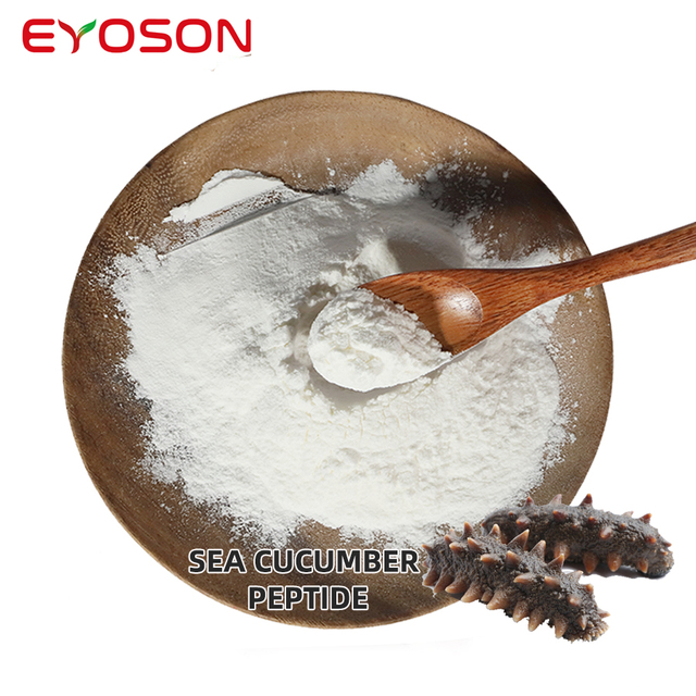 GMP Factory Halal Marine Peptides Wholesale Instant Water Dissolve Pure Sea Cucumber Extract Collagen Polypeptide Peptide Powder