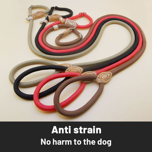Hot Selling <b>Nylon</b> Dog Leash <b>Slip</b> Lead Snap Hook Rope Leash Pet Supplier Dog Leash for Training Hiking - Product Image 3