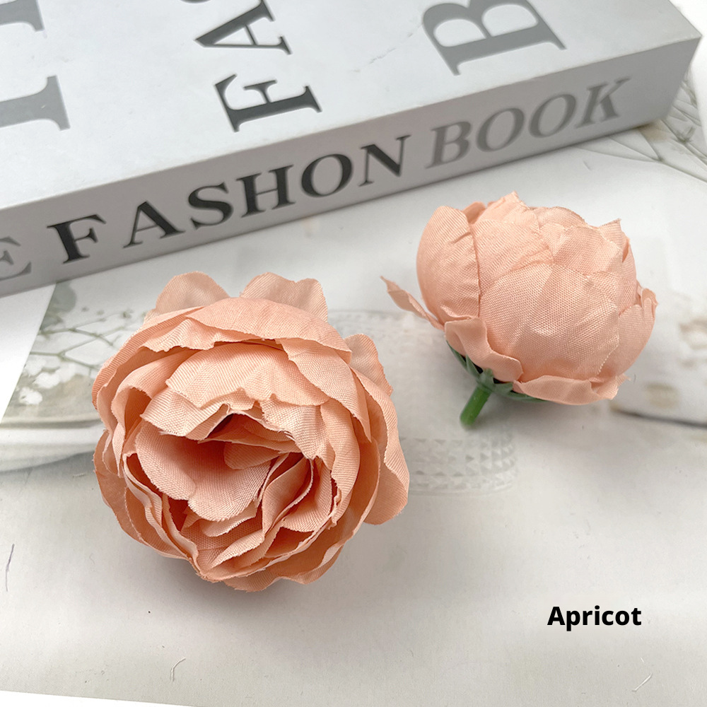 couleur abricot